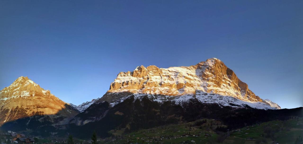 Chalet M Grindelwald Buitenkant foto